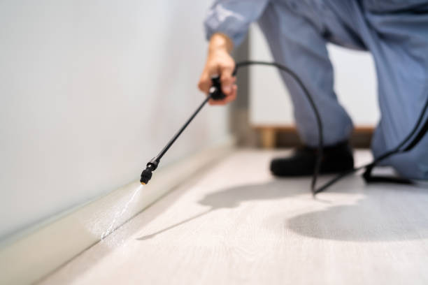 Licensed Cockroach Control service in Spencerville, OH - Nex Pest Control
