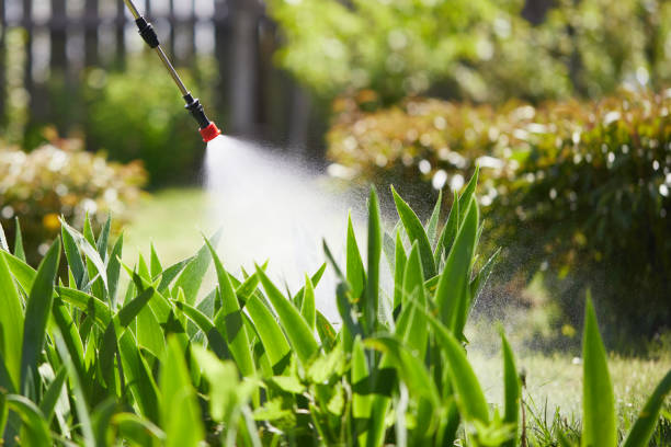 24/7 Emergency Cockroach Control experts in Spencerville, OH