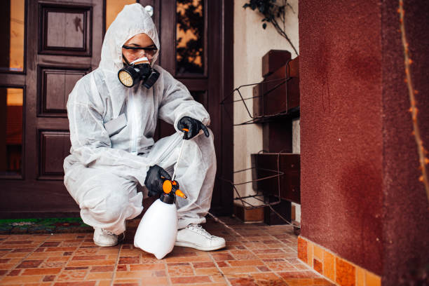 Reliable Cockroach Control contractor in Spencerville, OH by Nex Pest Control