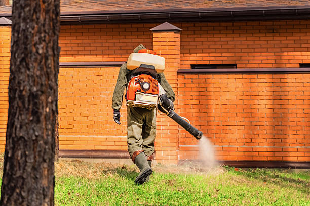 Top rated local Cockroach Control specialists in Spencerville, OH